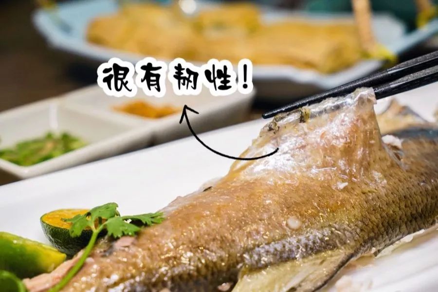 潮州山哥豆腐_潮州山哥豆腐鱼视频_潮汕山哥美食豆浆