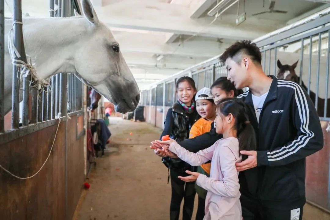 防守技巧击剑重剑视频_击剑重剑防守动作_击剑重剑防守技巧